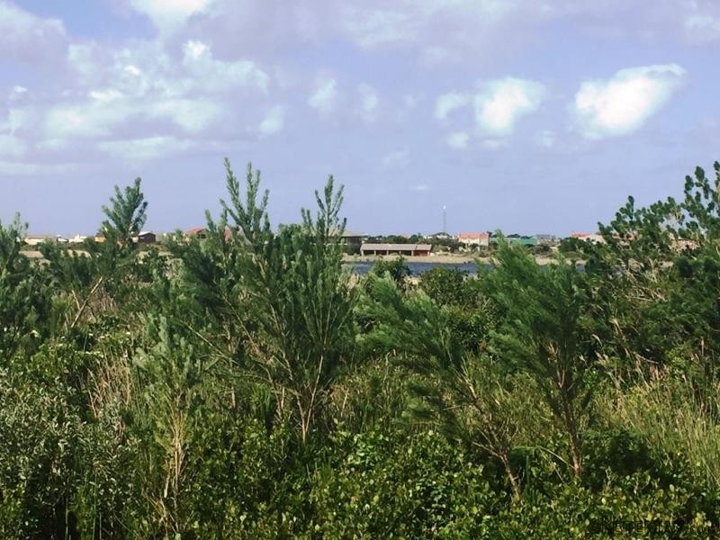 Bettys Bay Vacant Land, Bettys Bay - 2