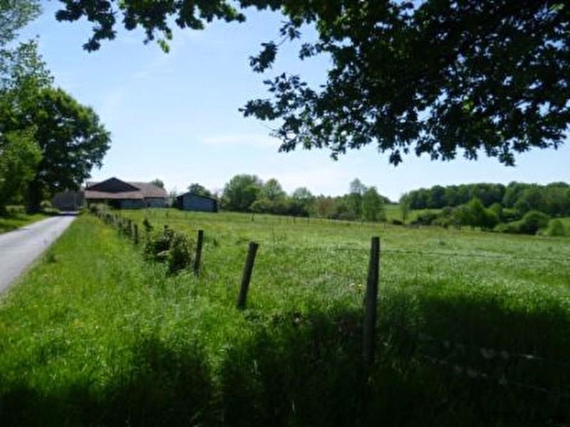 Small Holding with Farmhouse to.. - 2