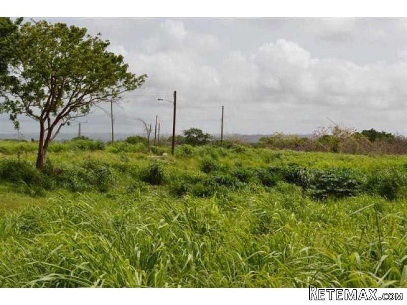 Property For Sale: Little Kent..