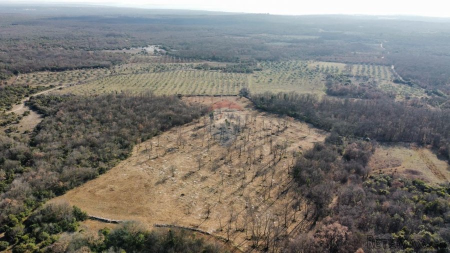 BALE - Prelijepo poljoprivredno zemljište 22821m2