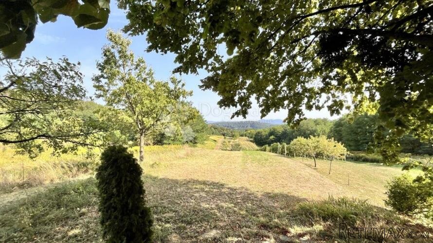 Prodaje se zemljište 2.877 m² s borovima i lipom! - 2