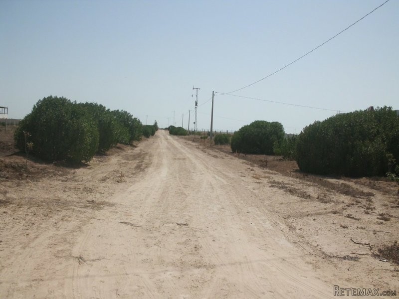 Plot of land - For Sale