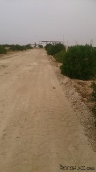 terrain de 464 m2 - 2