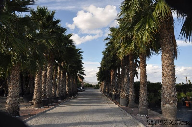 10 Bedrooms - Business - Alicante - For.. - 2