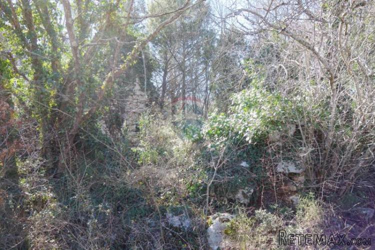 Istra, jedinstveno zemljište za izgradnju stancije - 4