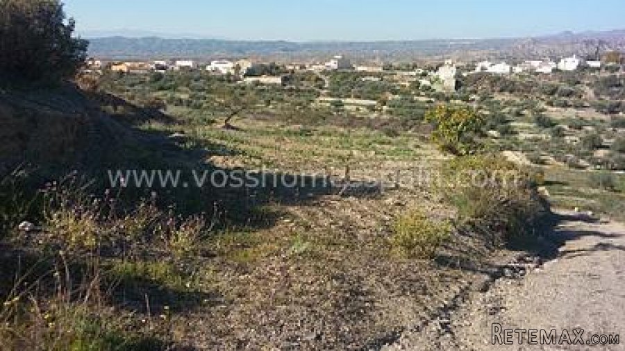 Two seperate plots of rustic land one of 3.000m2 with 1/2 a.. - 2