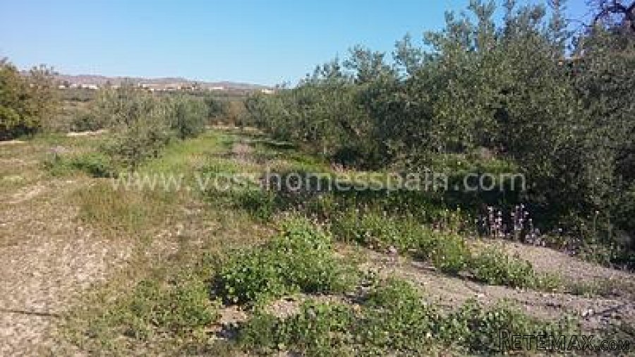 Two seperate plots of rustic land one of 3.000m2 with 1/2 a.. - 3
