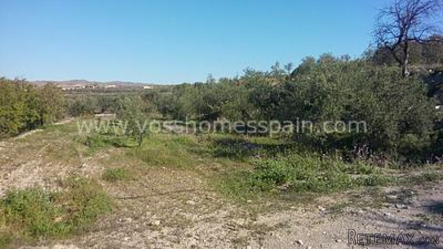 Two seperate plots of rustic land one of 3.000m2 with 1/2 a.. - 4