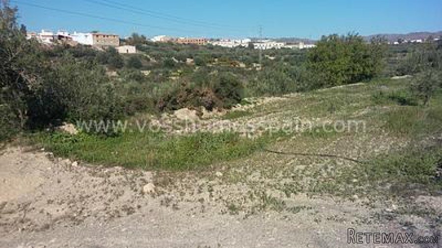 Two seperate plots of rustic land one of 3.000m2 with 1/2 a.. - 5