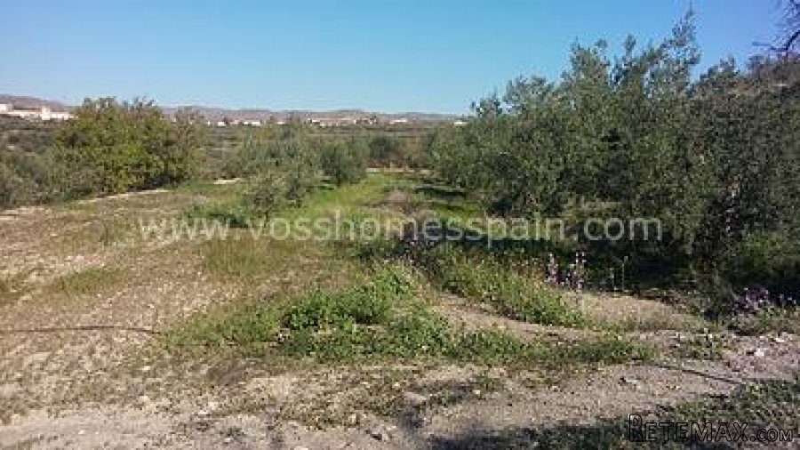 Two seperate plots of rustic land one of 3.000m2 with 1/2 a.. - 6