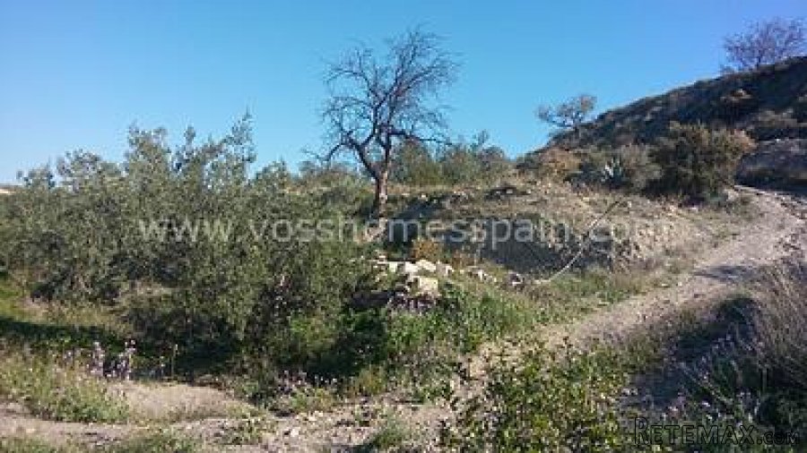 Two seperate plots of rustic land one of 3.000m2 with 1/2 a.. - 7