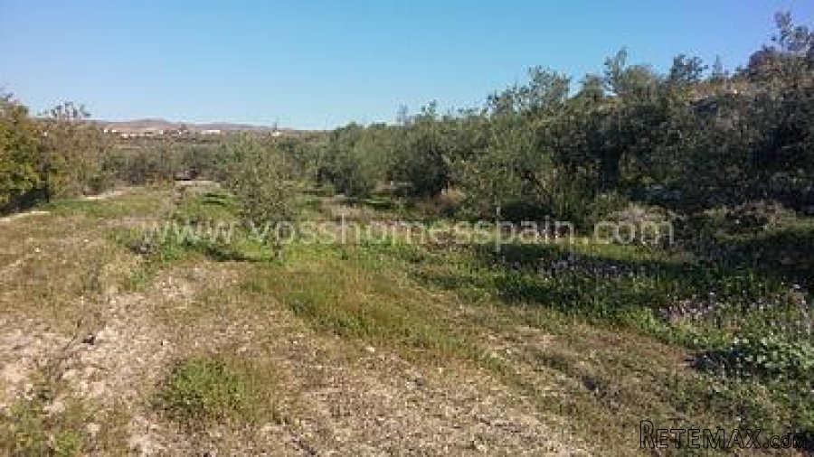 Two seperate plots of rustic land one of 3.000m2 with 1/2 a.. - 8