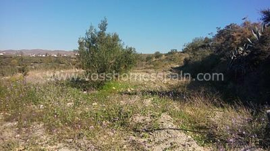 Two seperate plots of rustic land one of 3.000m2 with 1/2 a.. - 9