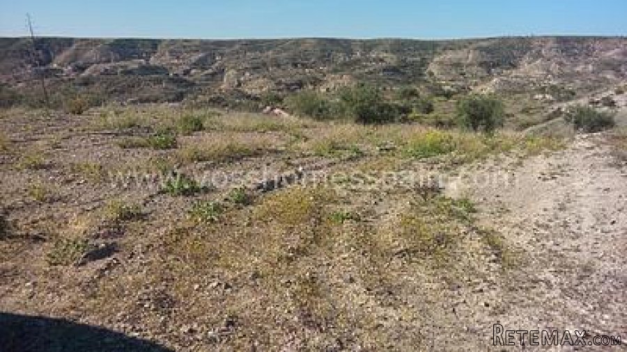 Two seperate plots of rustic land one of 3.000m2 with 1/2 a.. - 10