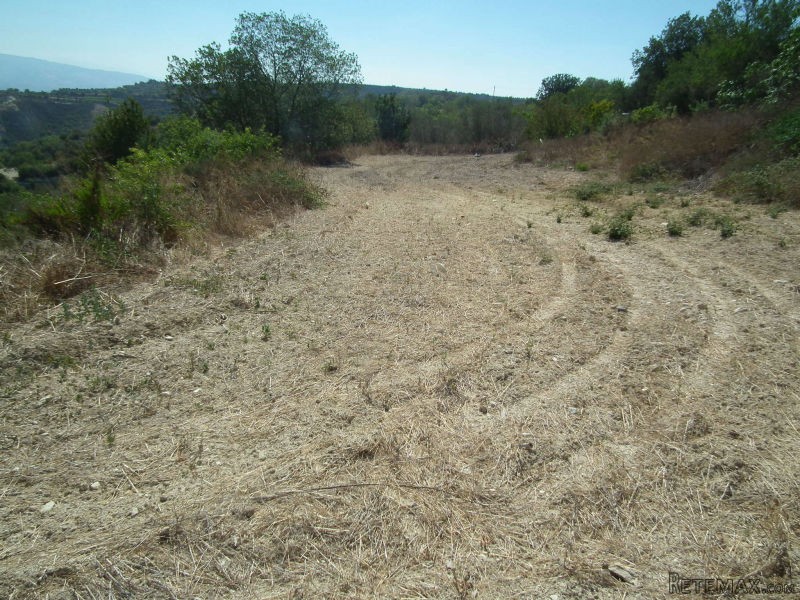 Land - Paphos - For Sale