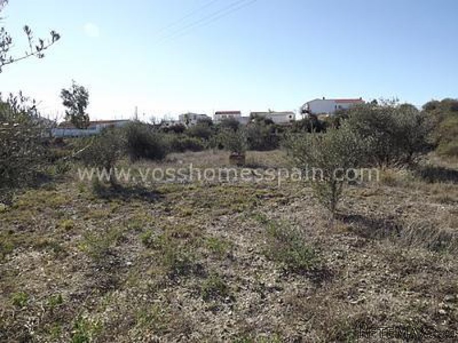OPEN TO OFFERS, Rustic pIot of land of 1,596m2 with tarmac.. - 2