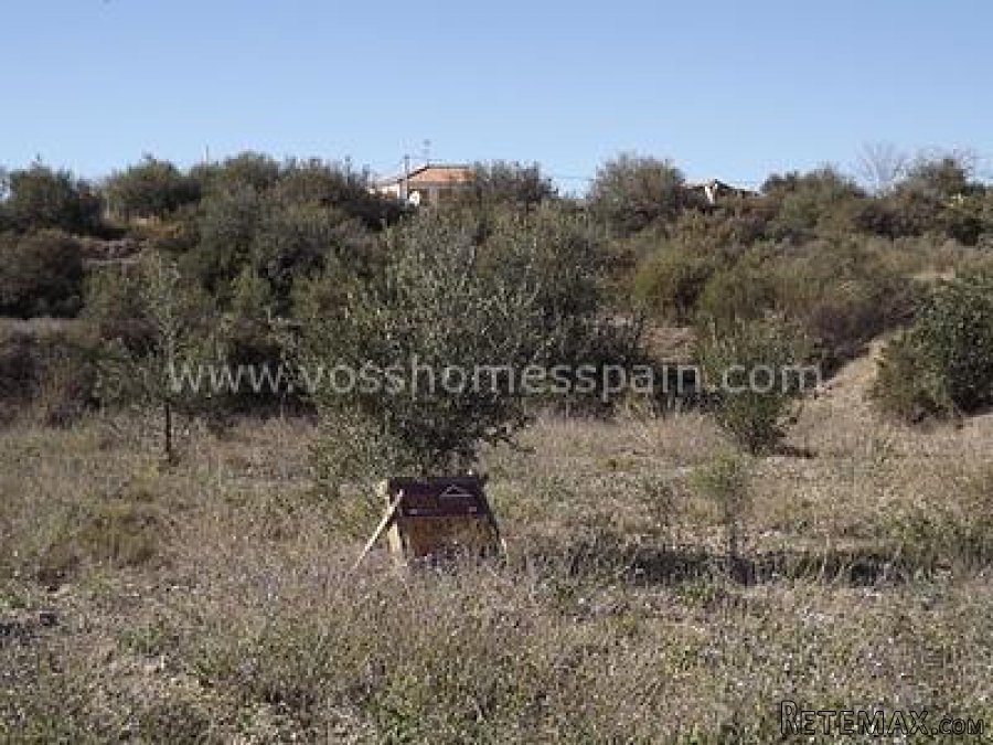 OPEN TO OFFERS, Rustic pIot of land of 1,596m2 with tarmac.. - 4