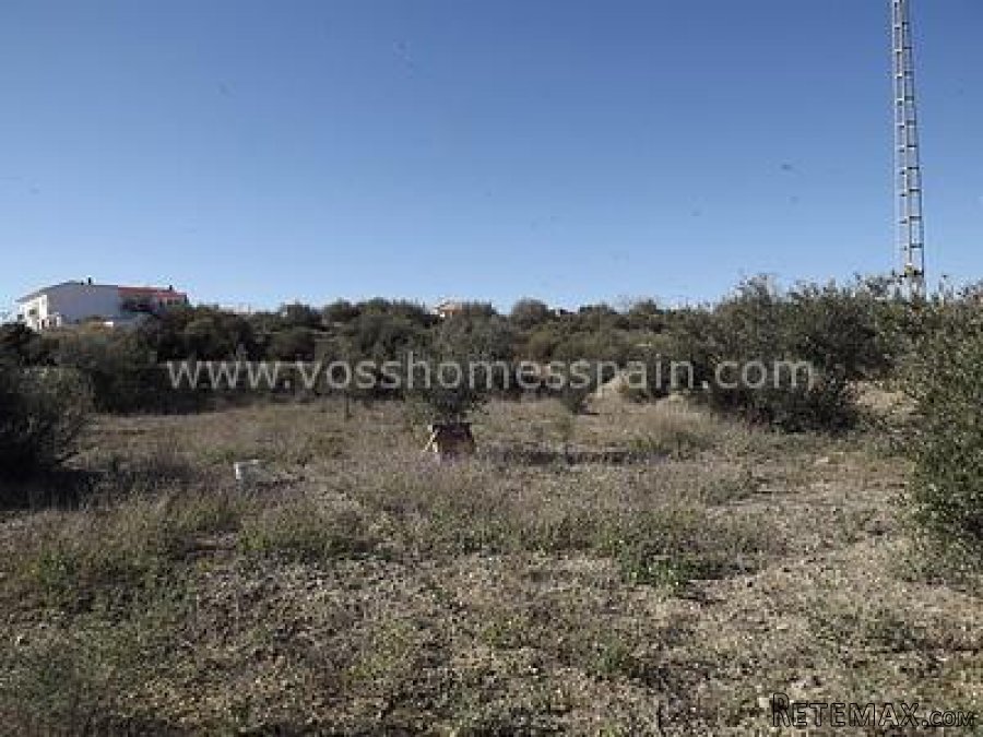 OPEN TO OFFERS, Rustic pIot of land of 1,596m2 with tarmac.. - 5