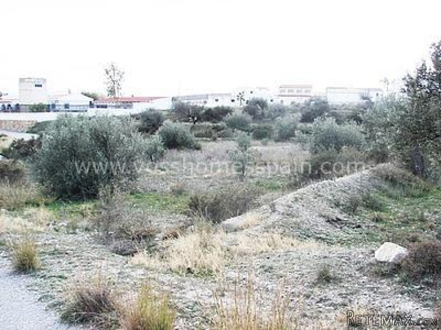 OPEN TO OFFERS, Rustic pIot of land of 1,596m2 with tarmac.. - 7