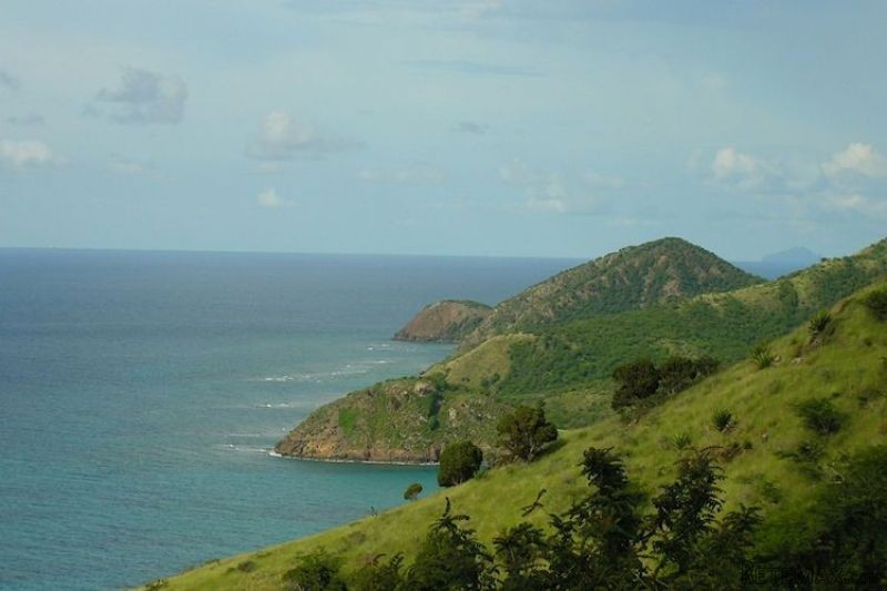 Turtle Bay Land