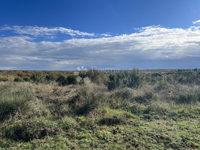 Poljoprivredno zemljište nadomak Pule, 1000m2 - 3