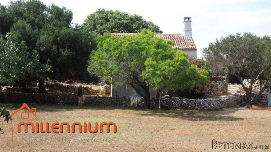 Otok Cres, kućica okružena s čak 77.300m2 zemljišta - 4