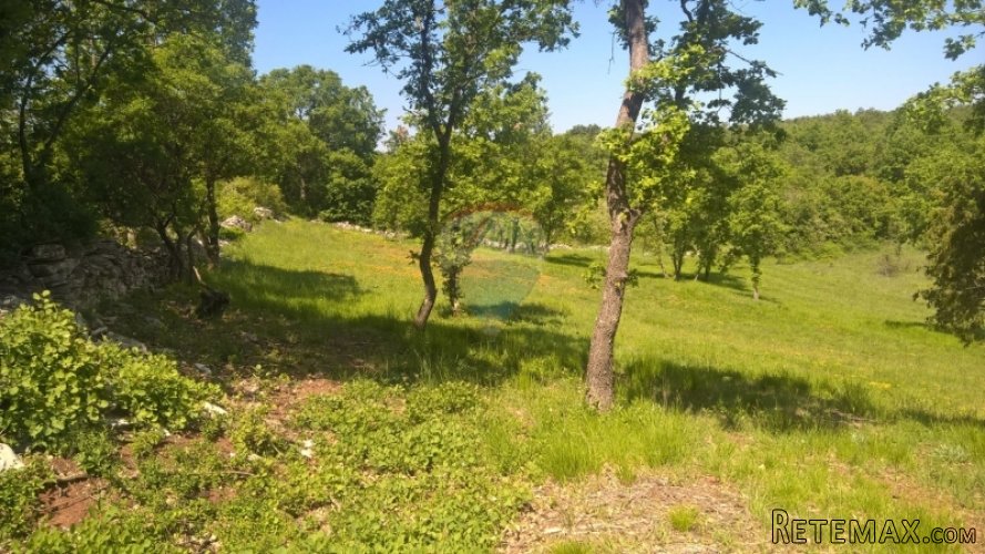 Buje, građevinsko zemljište, 7000m2 - 2
