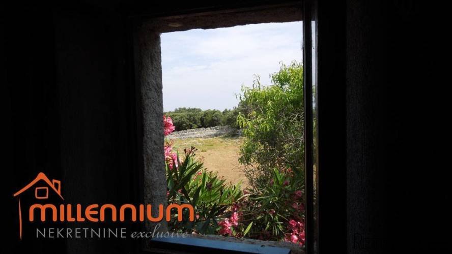 Otok Cres, kućica okružena s čak 77.300m2 zemljišta - 5