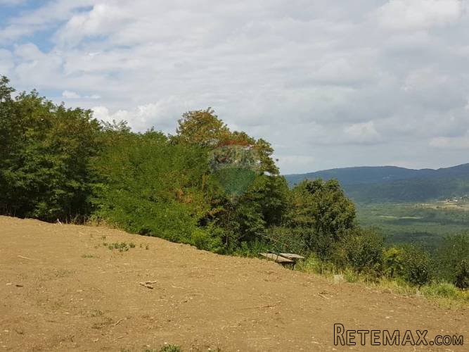 Ruševna kuća podno Motovuna - 2