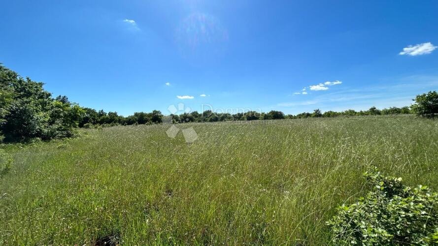Šuma u Marčani: 17544 m² s Pristupnim Putem