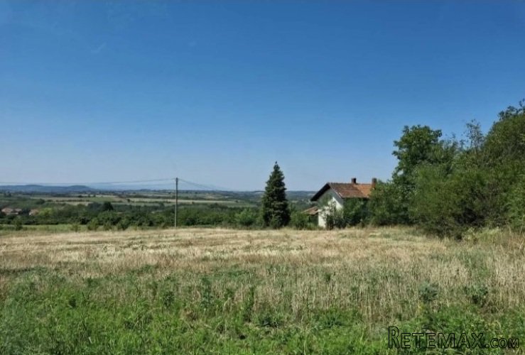 Vidikovac njiva-pored magistralnog puta Smed.Palanka-Raca - 7