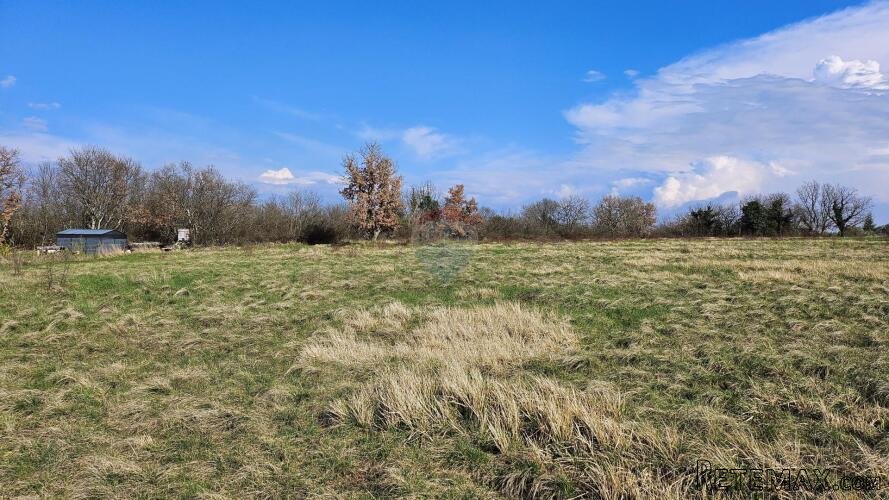 Istra, Umag, negrađevinsko zemljište - 2