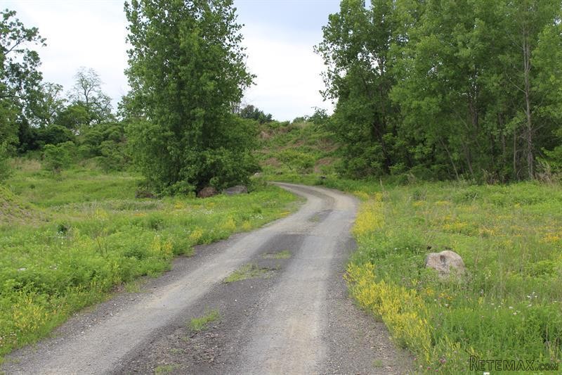 Land For Sale: County Route 19..