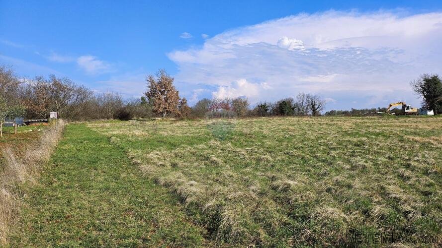 Istra, Umag, negrađevinsko zemljište - 3