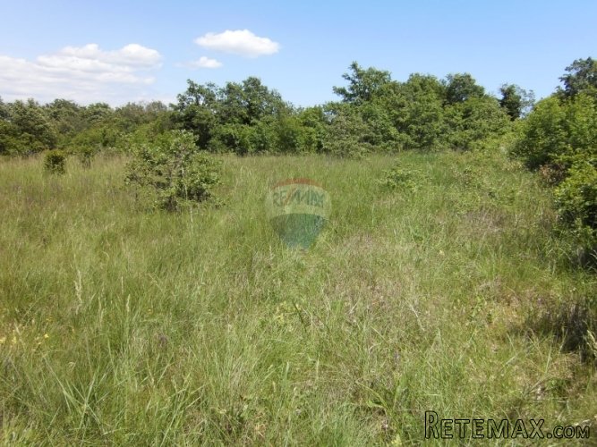 Žminj, Vidulini , građevinsko zemljište 4210 m2 - 3