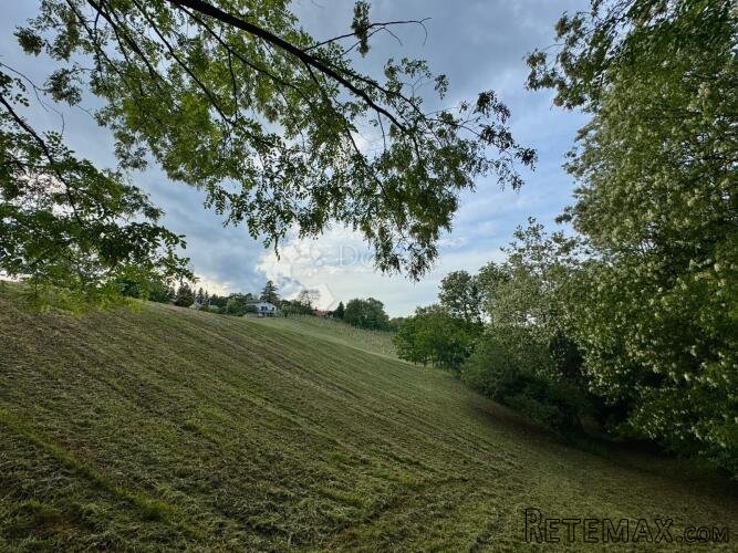 Građevinsko zemljište s vinogradom i panoramskim pogledom – - 3