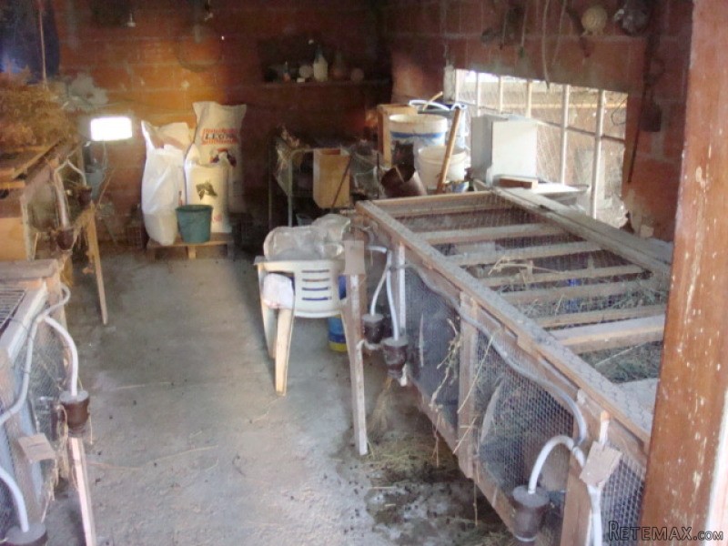 Bargain 5 Bedroom Country House For.. - 2