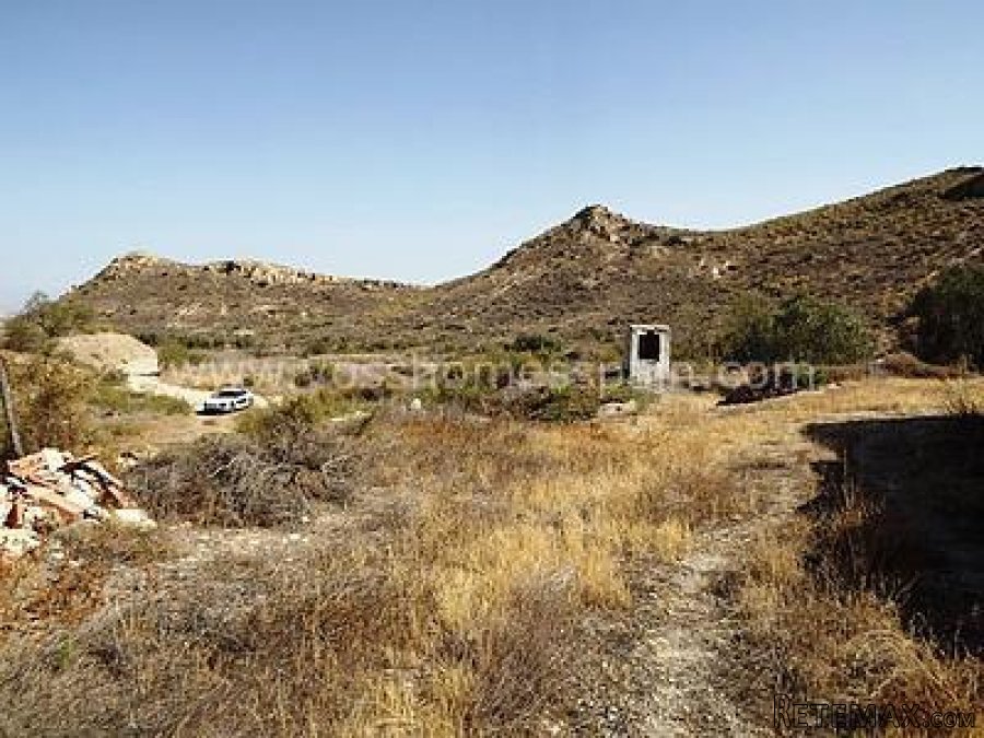 Large finca of approx 13 hectares of land with.. - 7