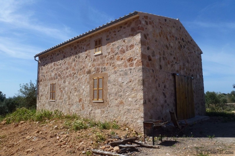 Mallorcan Style finca in Ses Salines - 2