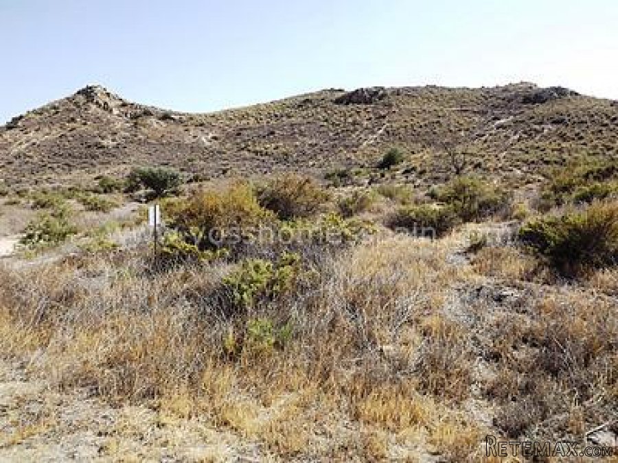 Large finca of approx 13 hectares of land with.. - 9
