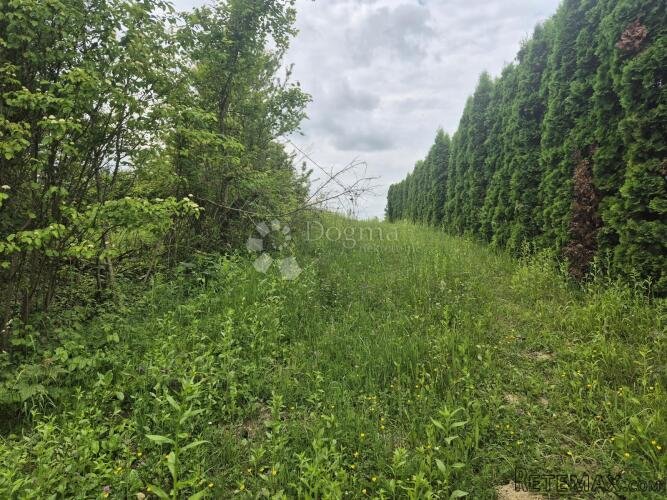 Građevinsko zemljište 1.543m² na bregu iznad Sv. Križa Začre - 3