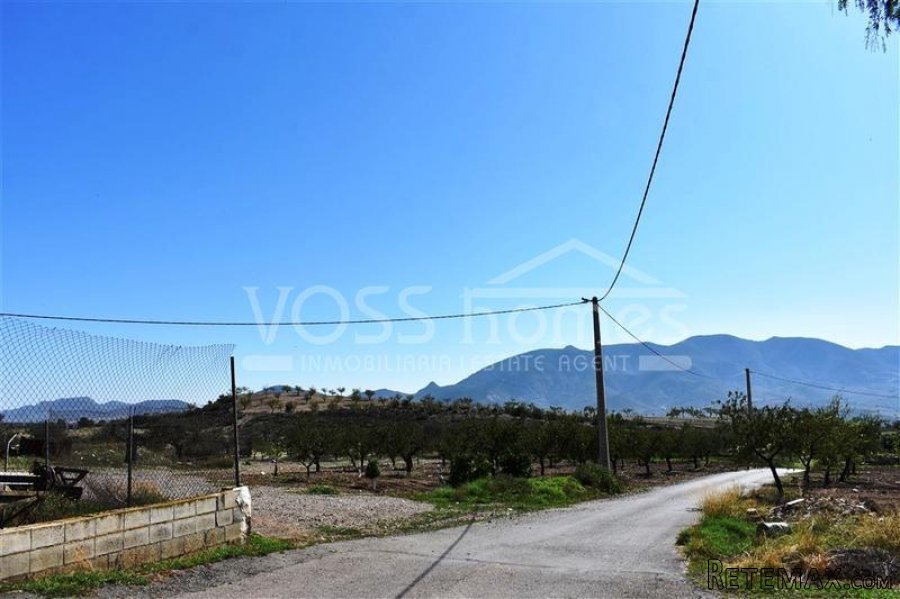 Urban plot of land of 1.500m2 with 3 old large warehouses.. - 4