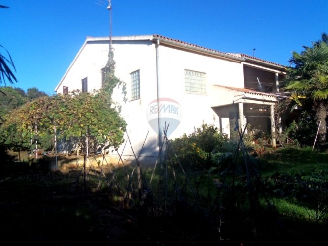 Kuća sa 3 stambene jedinice sa 1300m2 zemljišta - za... - 4