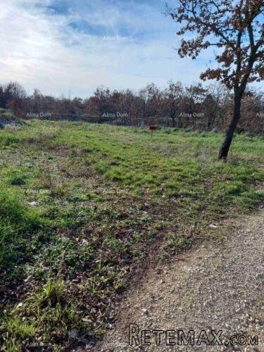 Prodaje se građevinsko zemljište 4375 m2, Kanfanar - 6