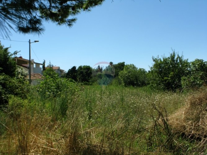 ISTRA, PREMANTURA, GRAĐEVINSKA PARCELA 1961 M2 S POGLEODM... - 3
