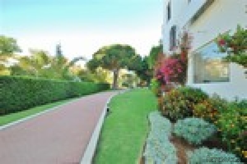 Apartment For Sale In Puerto Banus..