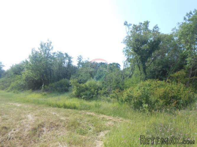 Istra, Marčana, Peruški, poljoprivredno zemljište - 3