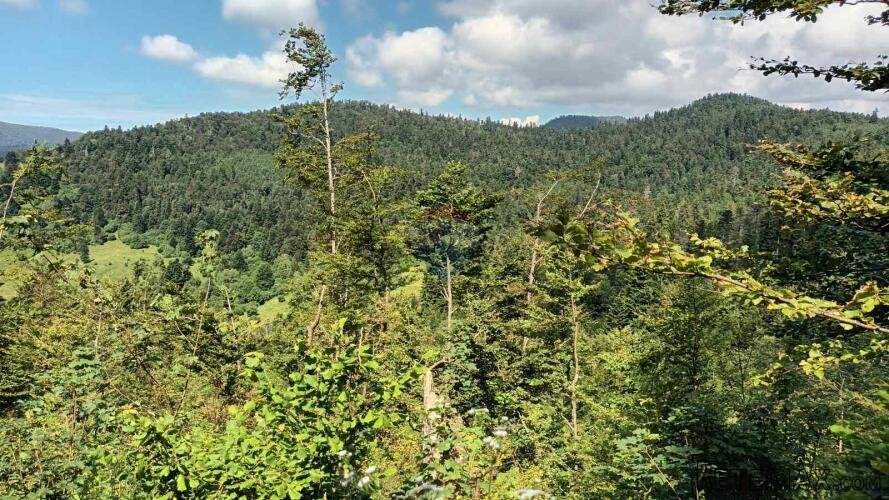 Gorski kotar, Fužine - Šumsko zemljište s prekrasnim pogledo - 2