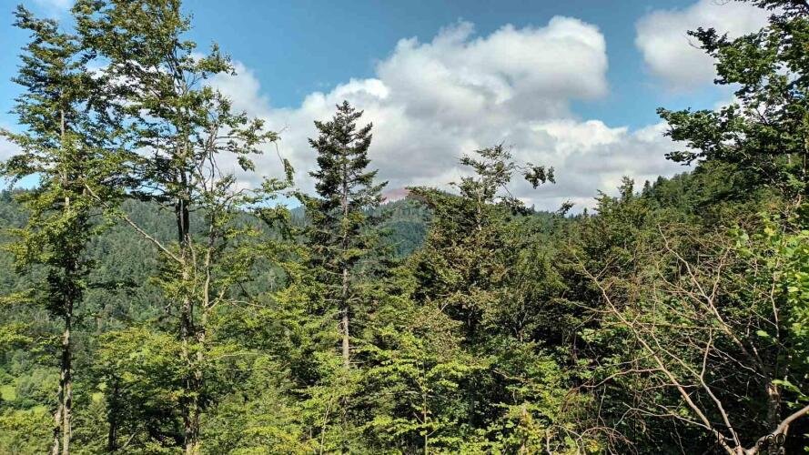 Gorski kotar, Fužine - Šumsko zemljište s prekrasnim pogledo - 3
