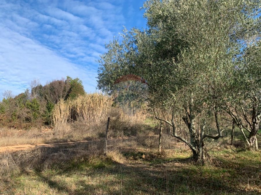 Istra, Poreč, građevinsko zemljište od 1050 m2 na atraktivno